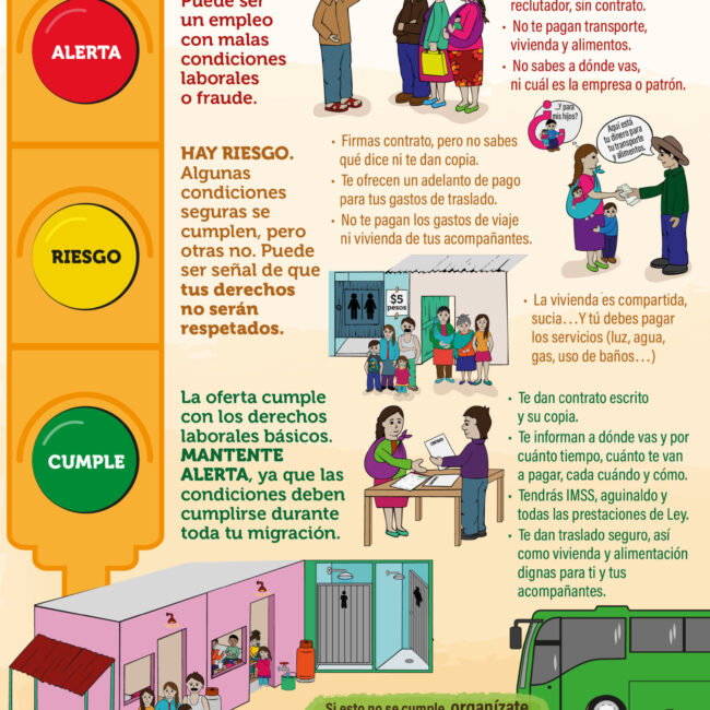 infografia_consejos organizativos_30sep-02