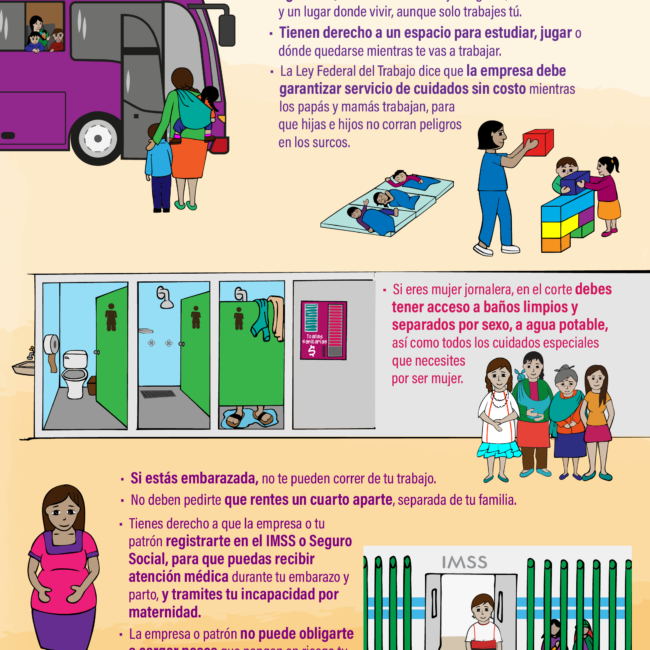 infografia_consejos organizativos_mujer y niñez_01